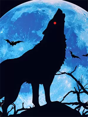 女配觉醒意识爽文的小说推荐