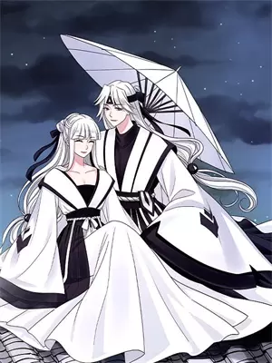 我的律师小说