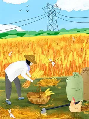 晚风是哪对cp
