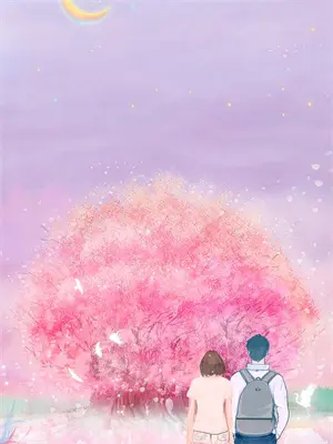 你如枯叶腐朽,我向阳而生苏晚宁